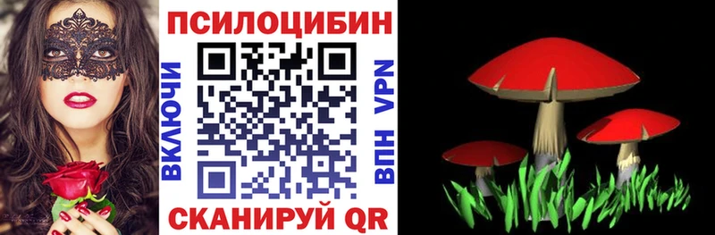 Псилоцибиновые грибы ЛСД Дегтярск